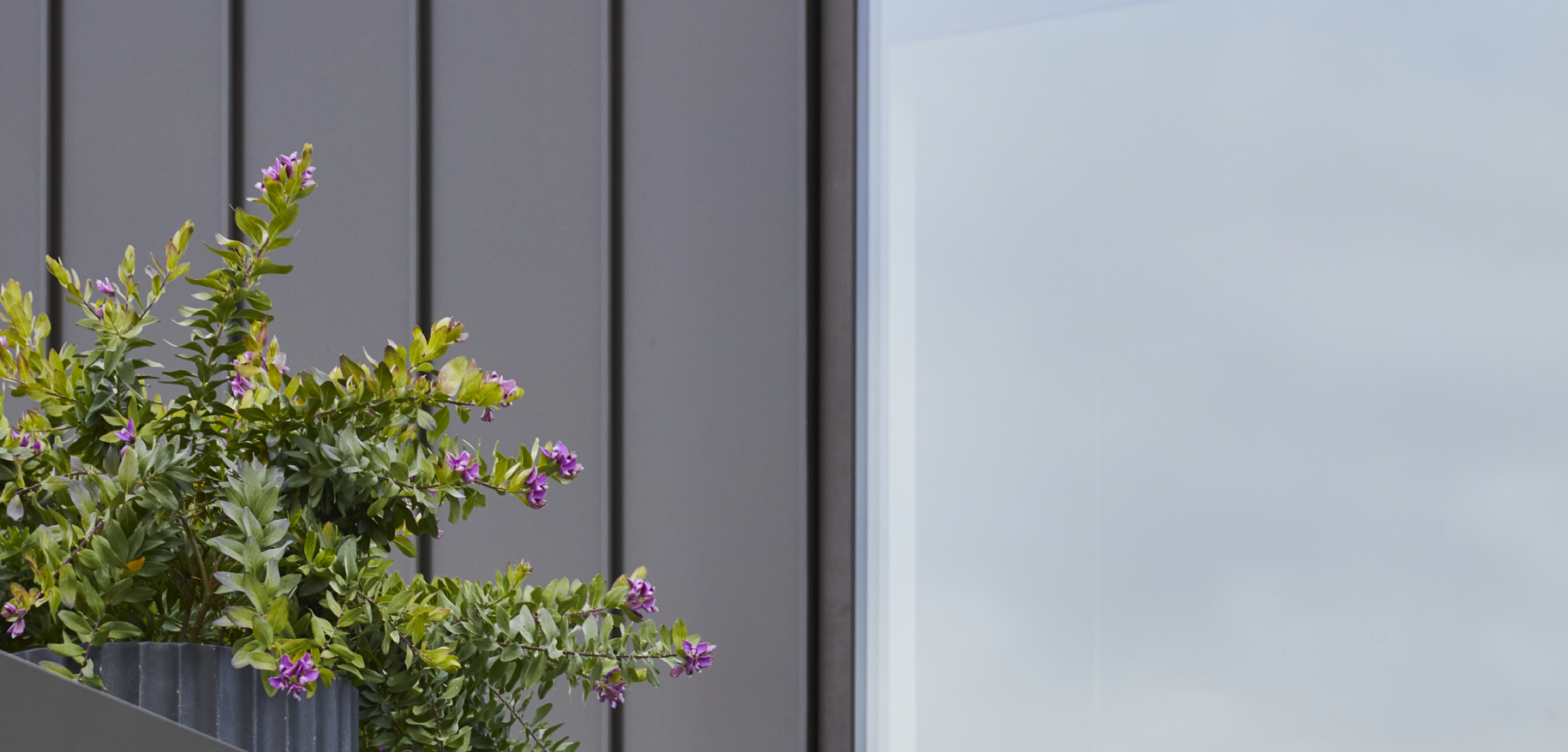 arkitekt hus